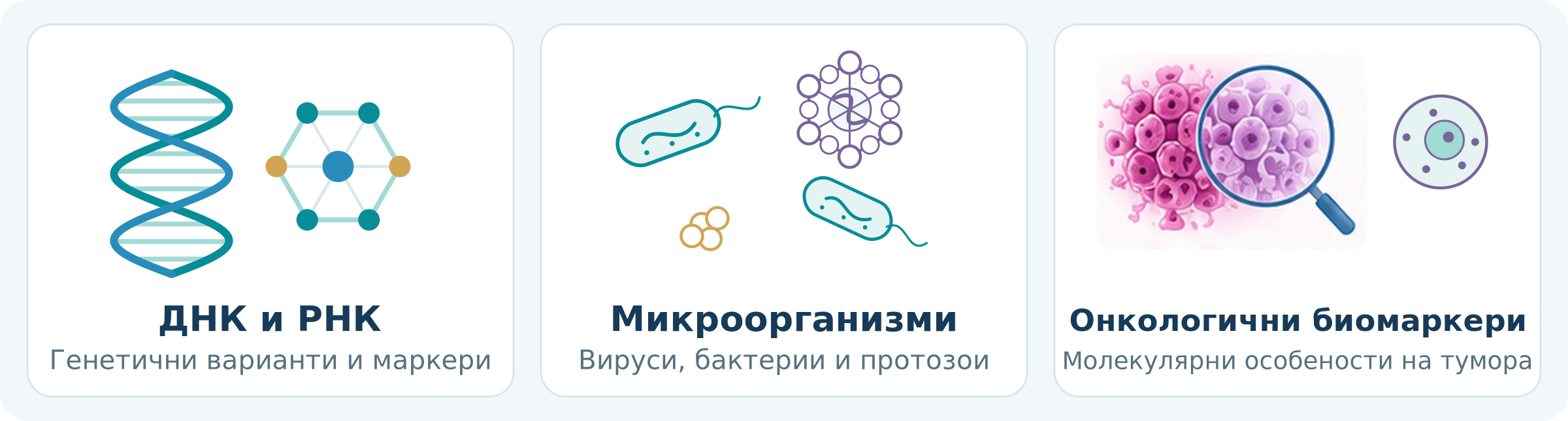 Молекули, микроорганизми и клетъчни биомаркери &mdash; три от основните направления на изследване.