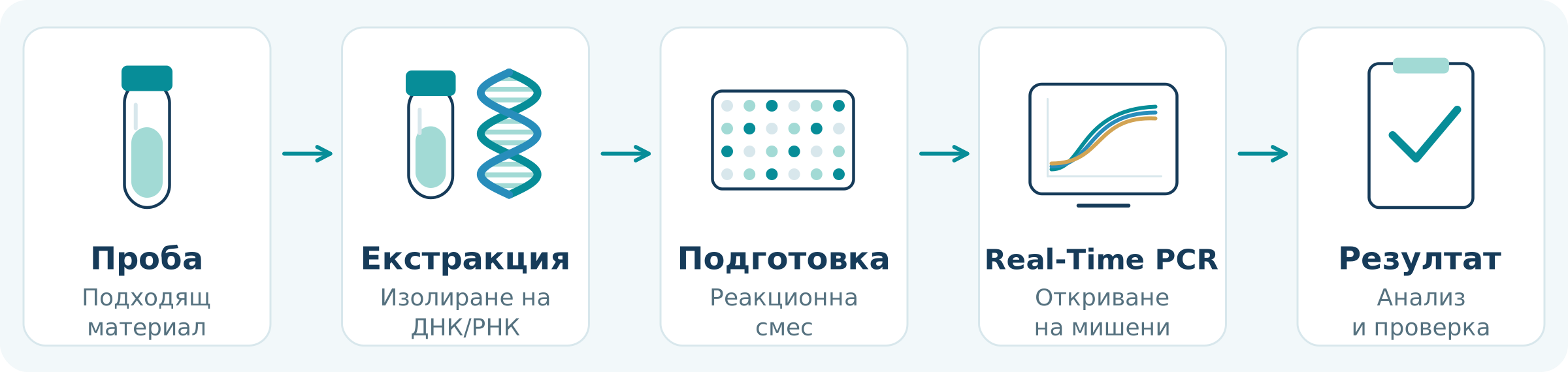 Основни етапи на молекулярния анализ. Показаните амплификационни криви са условни.